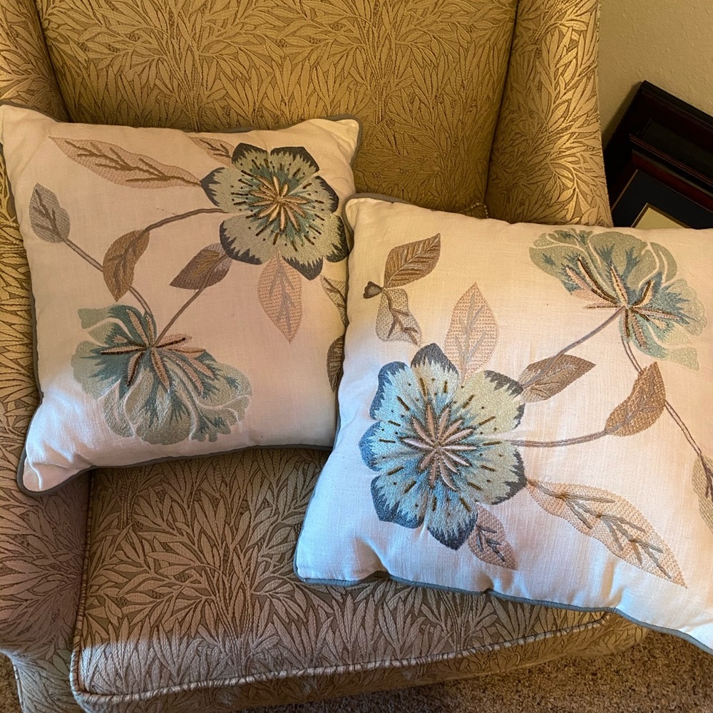Set of 2 Pier 1 pillows